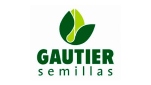 Gautier Semillas